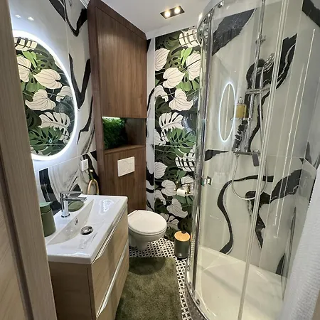 公寓 Le Coeur De *